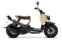 Shop Scooter in Tifton, GA